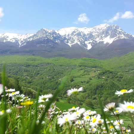 La Via Del Parco Villa Arsita Екстериор снимка