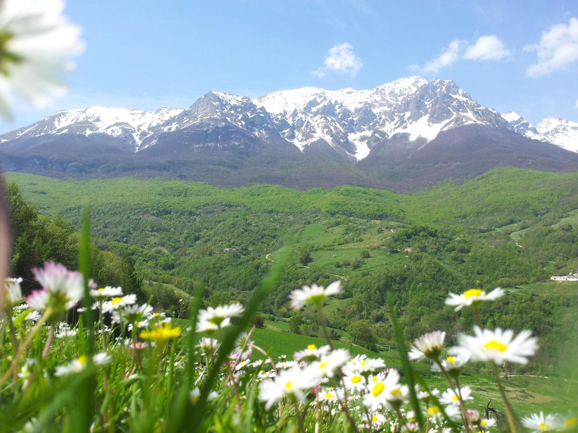 La Via Del Parco Villa Arsita Екстериор снимка