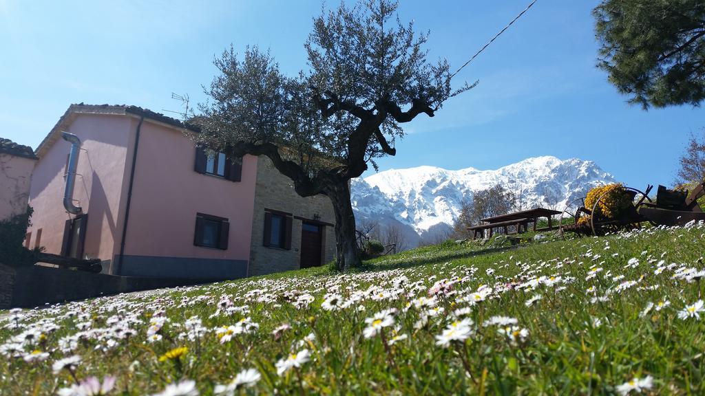 La Via Del Parco Villa Arsita Екстериор снимка